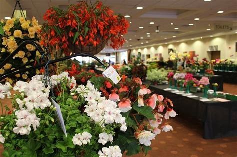 Ayr & District Flower Show - 2022 What to Know Before You Go (with ...