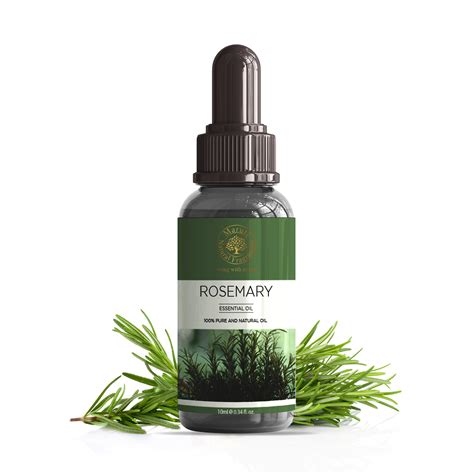 Rosemary Essential Oil – Pure, Steam Distilled from India – Maruti ...