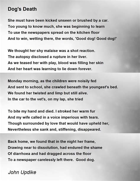 Dog Death Poems You Never Said Goodbye Dog Poem | Custom Dog Memorial