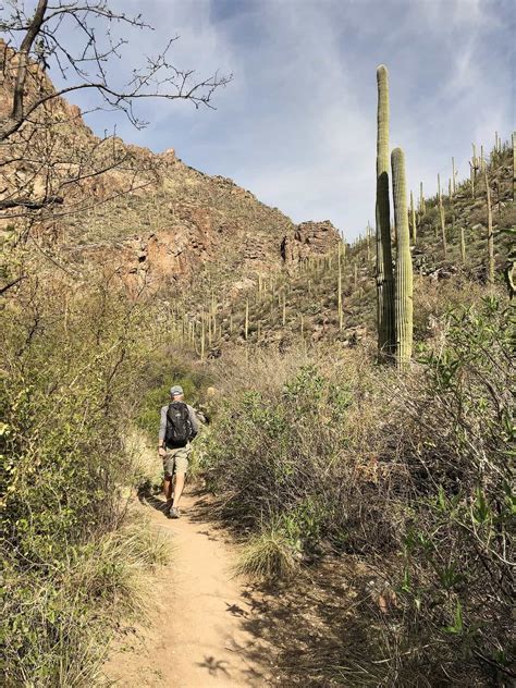 Ventana Canyon Trail: A Hiking Guide | TucsonTopia