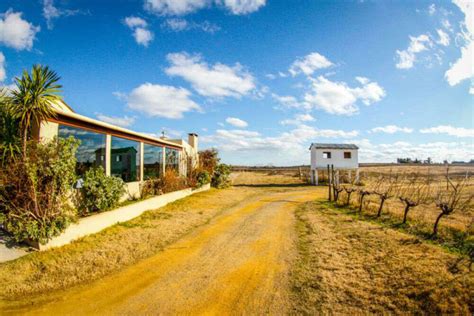 Tour the wineries, Uruguay - TimesTravel