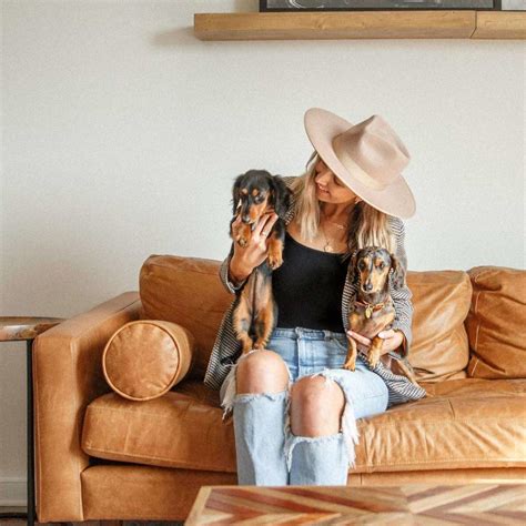 Poly and Bark Review - Must Read This Before Buying