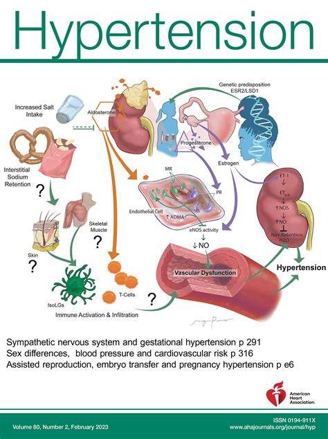Trial of Intrapartum Extended-Release Nifedipine to Prevent Severe ...