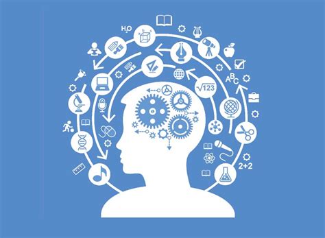 Best Career Assessment in Trivandrum | Bright Ray Career Guidance Kerala