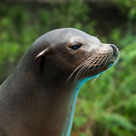 About - Pittsburgh Zoo & Aquarium