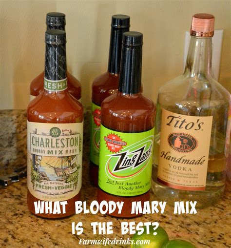 Want to make the best Bloody Mary? No fear, just use a mix. Find out ...