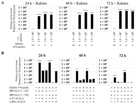Anti-Retroviral Protease Inhibitors Regulate Human Papillomavirus 16 ...