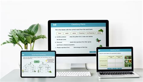 Image result for CLIL Lesson On Classifying Plants