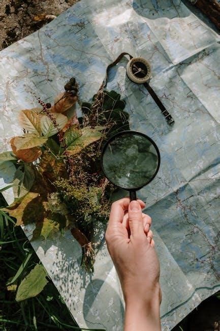 Bosch Router Guide 的图像结果