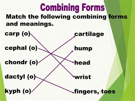 medical terminology.ppt