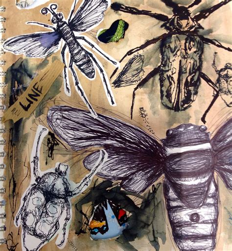 Drawings | Insect art, Sketches, Gcse art sketchbook