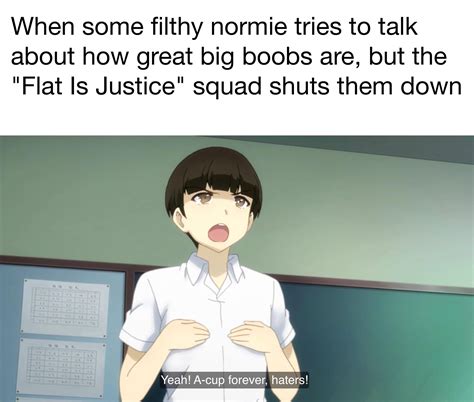 Flat. Is. Justice. : r/Animemes