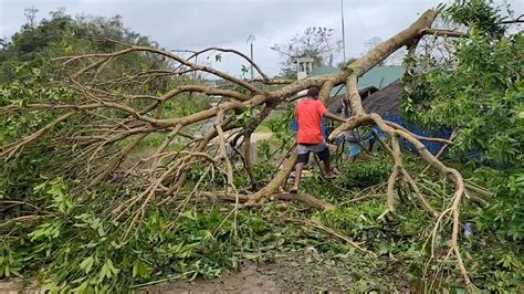 Vanuatu Strikes a Blow for Climate Justice - The New York Times