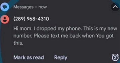 Image result for Phone Insurance Scam