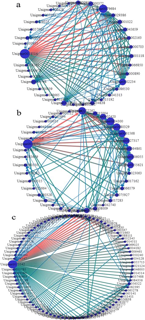 Image result for Unigues Module