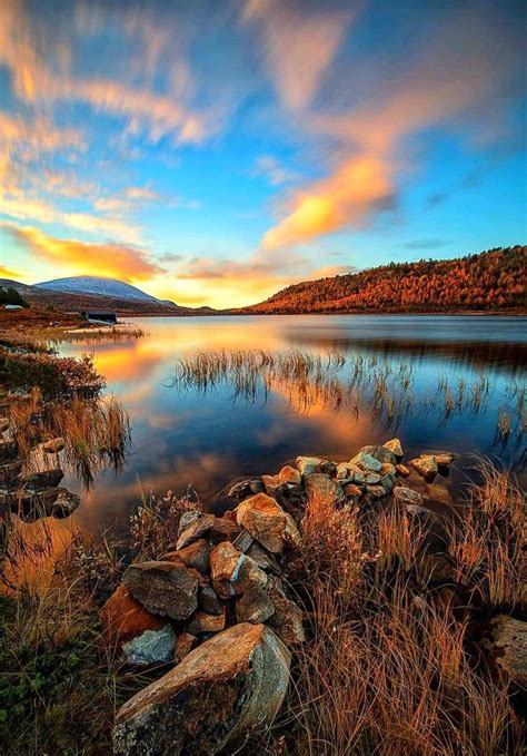 Beautiful Environment 的图像结果