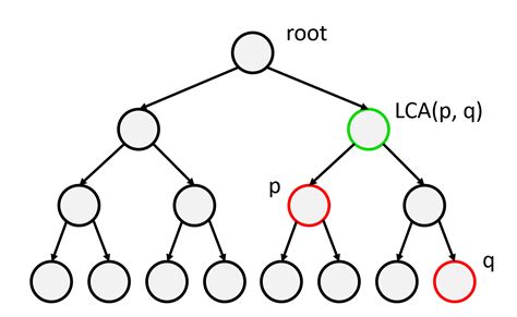 Image result for Python NetworkX Lowest Common Ancestor