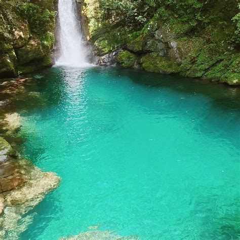 MINORINOYA (Ino-cho) - Pension Reviews & Photos - Tripadvisor