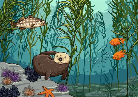 Kelp Forest Biodiversity Illustration