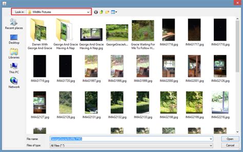 How to Input Data File Link 的图像结果