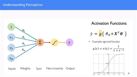 Deep Learning Code Basics 的图像结果