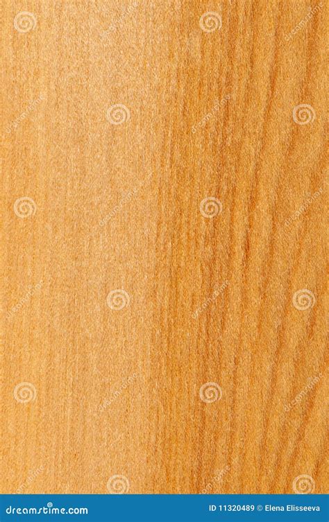 Pre-finished Hardwood Floor Sample Stock Image - Image of plank, lumber ...