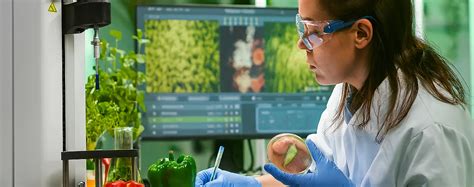 Image result for Food Testing Powder