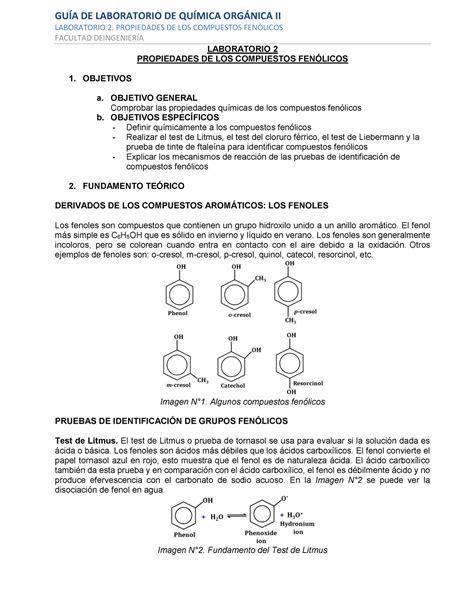 2 Propiedades de los compuestos fenolicos - LABORATORIO 2. PROPIEDADES ...