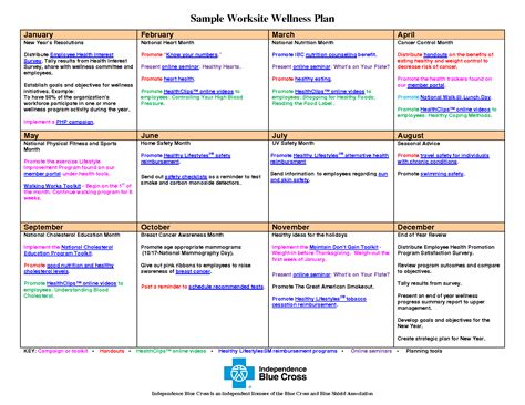 Wellness Plan Template