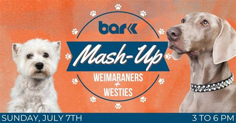 BREED MASH-UP: WEIMARANERS & WESTIES, 4565 McRee ave, St. Louis, MO ...