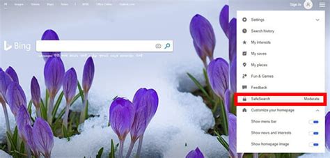 Bing Search Settings 的图像结果