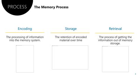 Information Processing Learning 的图像结果