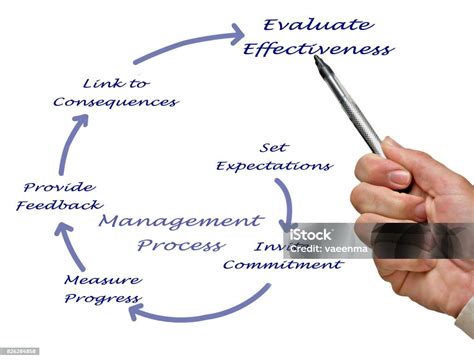 Example of Management Process 的图像结果