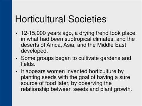 Example of Society 的图像结果