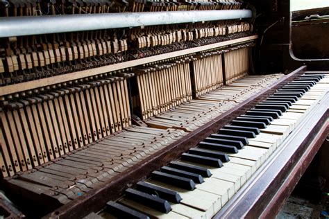 Is the Piano a Percussion or a Stringed Instrument? | Britannica