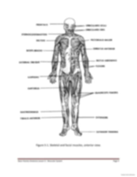 Image result for Muscular System Lecture Video