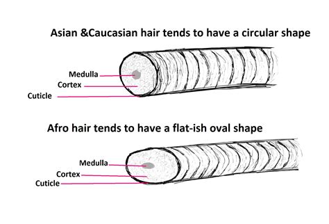 Hair Strands Meaning In Tamil at Daniel Gilmore blog