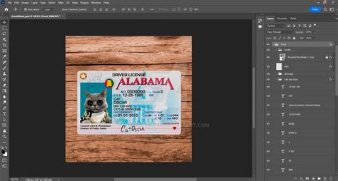 Image result for Alabama Drivers License