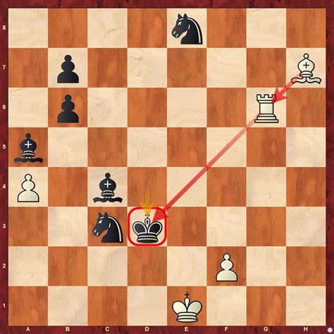 Karthikeyan's helpmate puzzle explained - ChessBase India