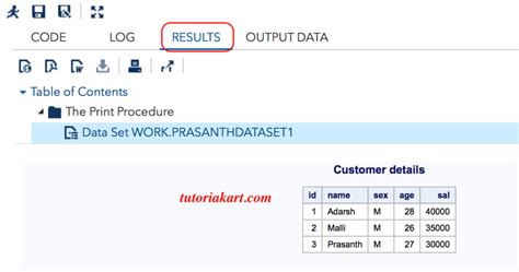 Infile Statements in Clinical SAS Programming 的图像结果