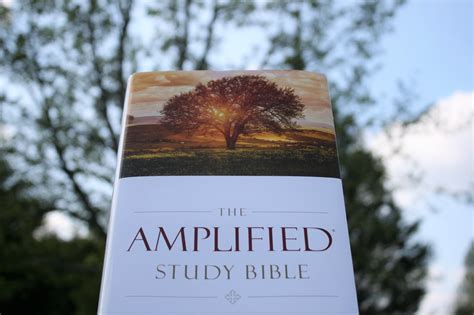 Amplified Study Bible Review - Bible Buying Guide