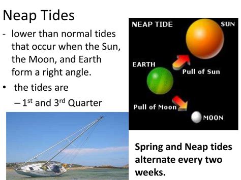 Learning Log Words 的图像结果