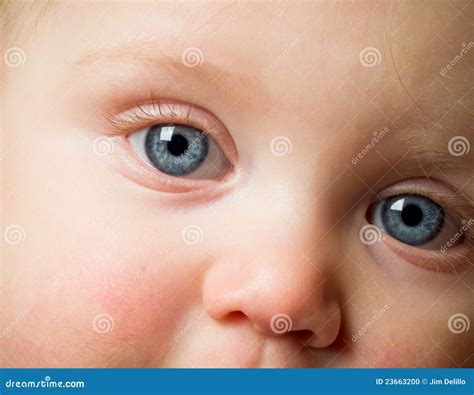 Piercing Baby Blue Eyes stock photo. Image of cute, generation - 23663200