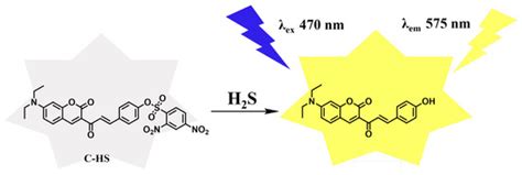 Development of a New Hydrogen Sulfide Fluorescent Probe Based on ...