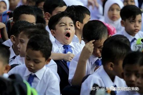 马来西亚育才小学及圣母玛利亚华小举行“迎新日”-中国侨网