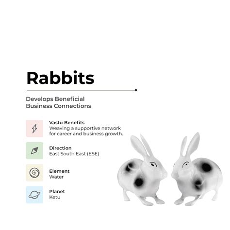 Mahavastu Remedies | Rabbits - Develops Beneficial Business Connections