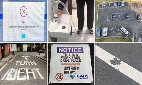 Virtual Work Mishaps 的图像结果