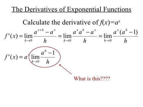 Exponential Derivative Examples 的图像结果