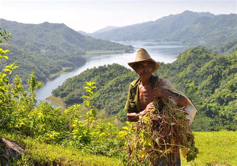 Societies 的图像结果