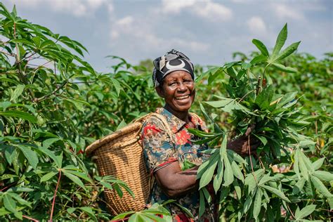Agriculture Loans in Uganda: A Farmer’s Guide to Accessing Credit | Rural Development Foundation ...
